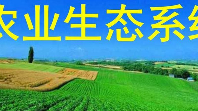 农民合作社企业所得税减免条件
