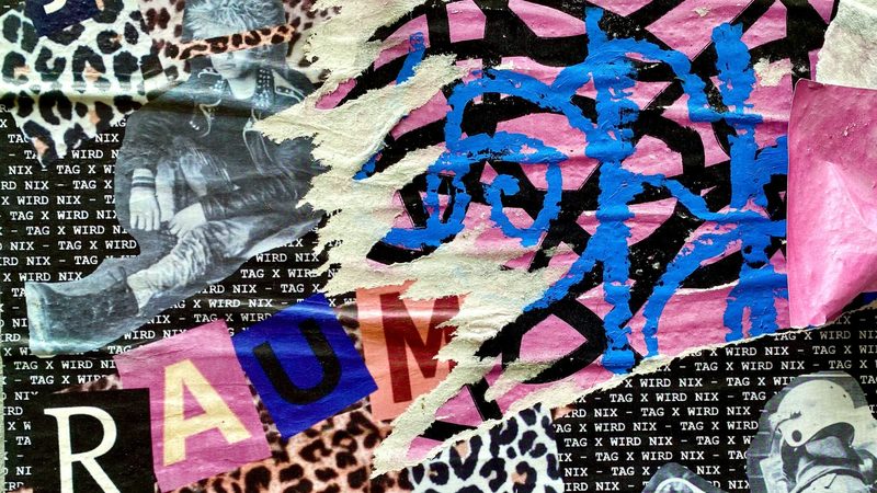 上海果蔬配送公司品牌口碑：如何洞察行业品质风向标