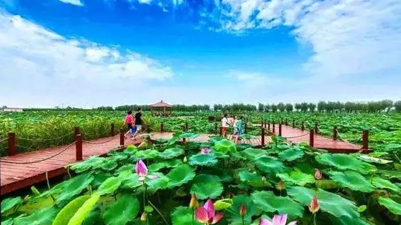 农资短视频如何精准获客，四大策略助你一臂之力