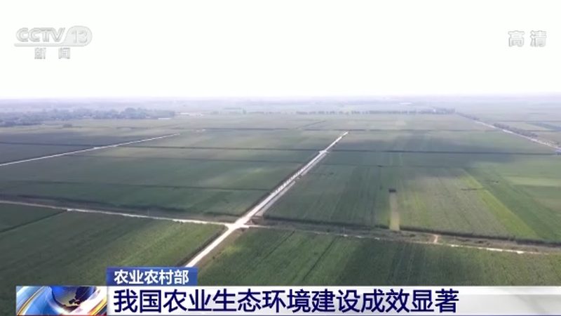 智能温室大棚：现代农业的绿色引擎