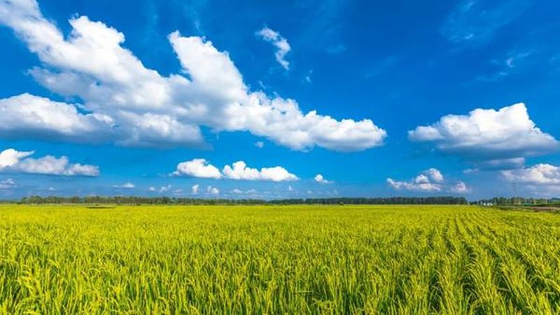 农业植保无人机，如何选择最适合你的那款？**