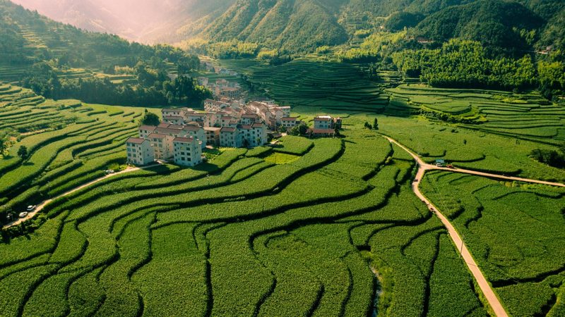 农业种植技术培训报名流程全解析
