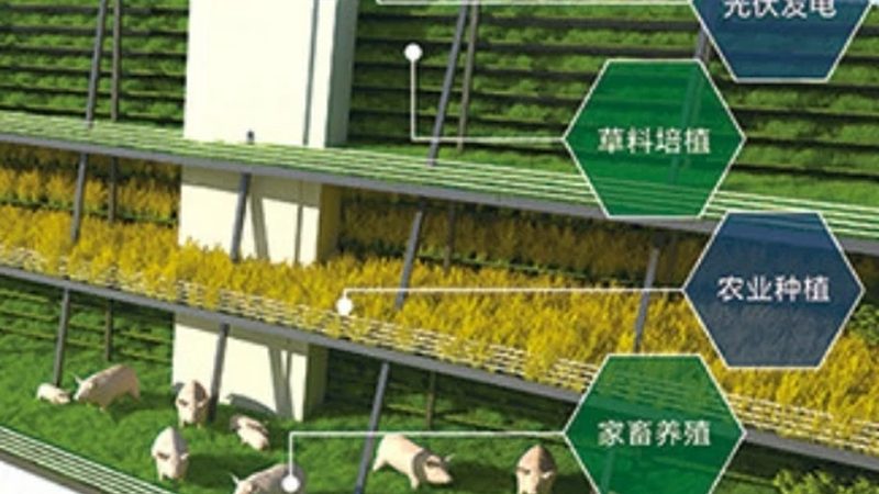 种植项目成本主要由以下几部分构成：
