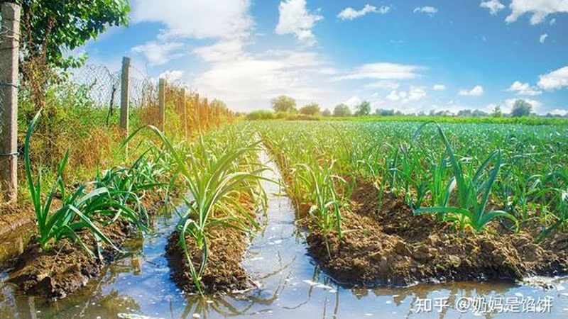 休闲农业：如何规避经营风险，实现可持续发展