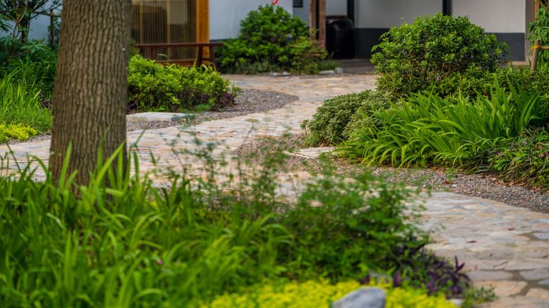 农产品批发供应链管理规范代理：构建高效流通体系的关键**