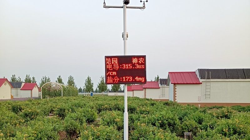 茶叶绿色食品认证流程详解