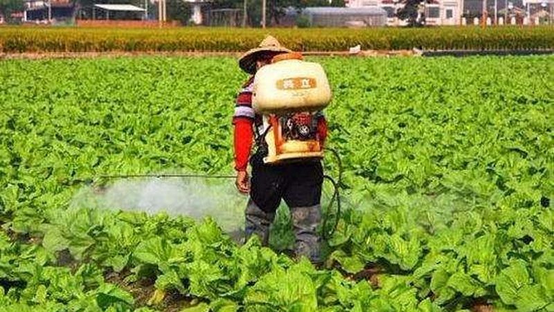 合作社模式大揭秘：农民专业合作社的运营差异